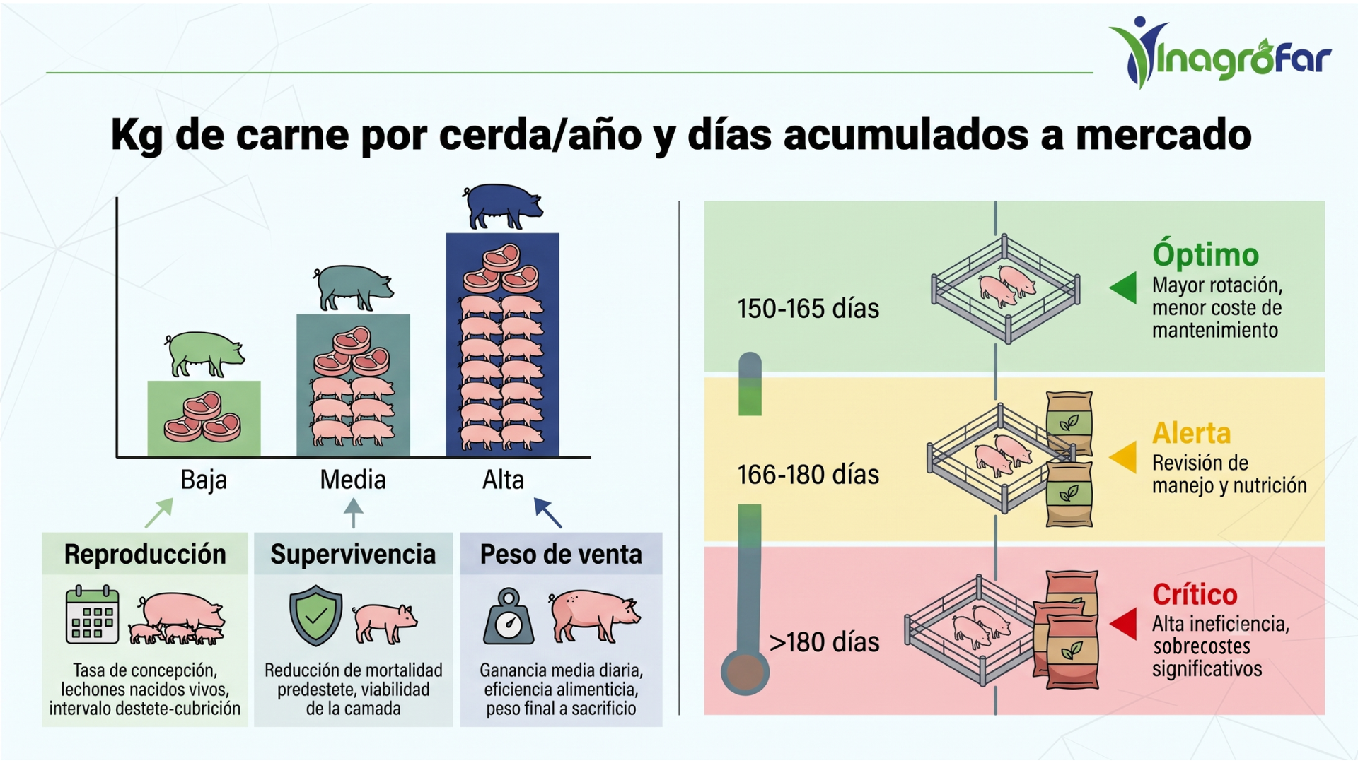 Inagrofar soluciones agropecuaria producción porcina